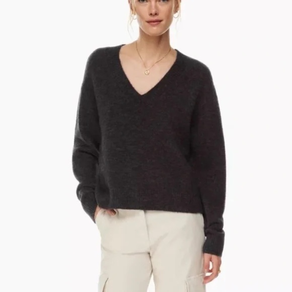 Aritzia Wilfred Krause  Sweater